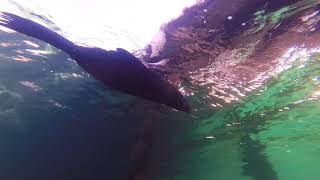 Edithburgh Jetty Sep 19