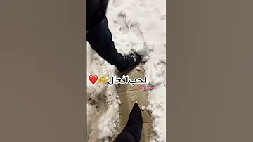 الحب أفعال يلي مابضحيلك ماحبك يلي ما يقدملك ما حبك الكلام ببلاش 