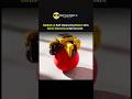 Ballbot: A Self-Balancing Robot with Omni-Directional Movement 🤖