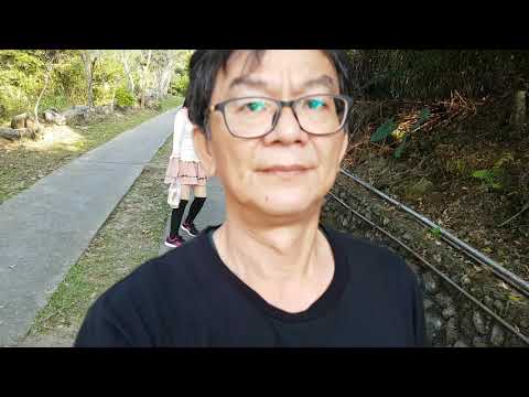 古坑 華山步道(1)