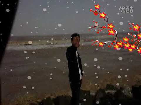 刘德华 都怪我 Dj 小宝QQ 2594089161