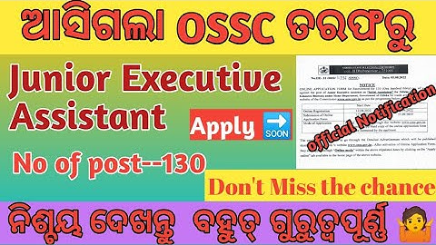 Junior Executive Assistant -2022