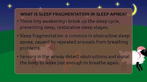 What Is Sleep Fragmentation In Sleep Apnea? - Sleep Apnea Support Network