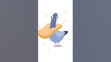 Animated a pigeon in Procreate Dreams✨🙃#art #procreatedream #animation #cartoon