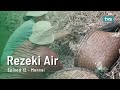 Rezeki Air: Episode 12 - Mansai