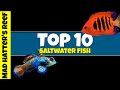 Top 10 Most Stunning Saltwater Fish