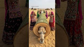 Rescue Desert Camel Family From Giant Tree Log Resimi