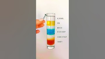 Different Densities of immiscible liquids | Solubility #ViralShorts