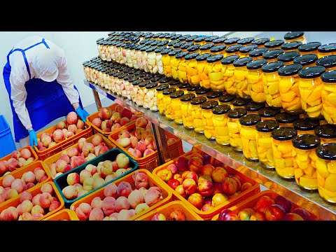 여름 한달만 30,000병 한정생산! 직접 재배한 복숭아로 만드는 병조림 / Homemade canning of farm-raised peaches