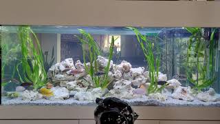 540 Liter Raumteiler Malawi Becken