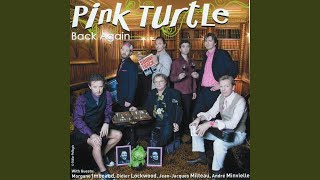 Vignette de la vidéo "Pink Turtle - Black Magic Woman"