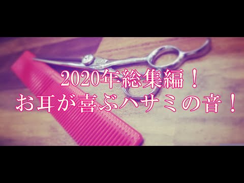 【ASMR】最高にいいハサミの音がコレだ！ 現役美容師のASMR動画 2020総集編！ 【睡眠 癒し 音フェチ】