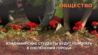 Студенты помогают в озеленении Владимира