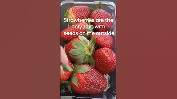 Strawberries Trivia#strawberry #asmr #short