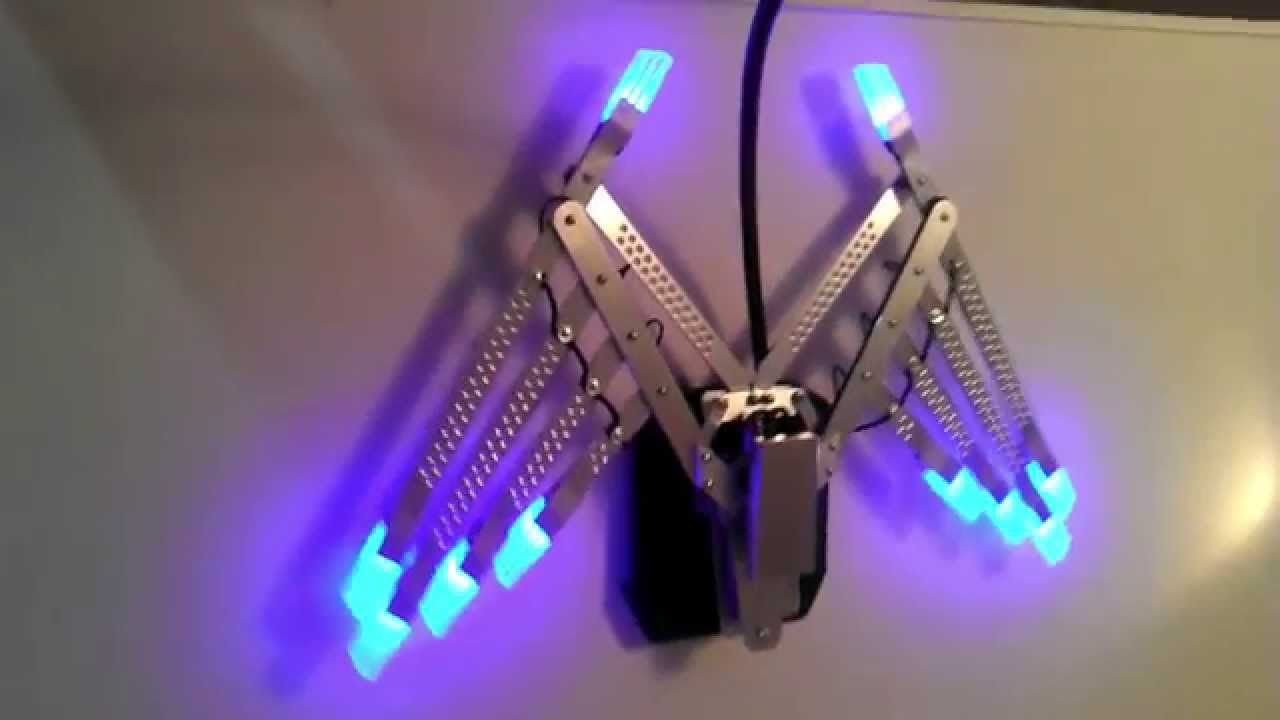 Bionic Concepts - Electric Version 1.5 Wings - YouTube

