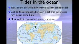 Tides 4: Tides in the Ocean