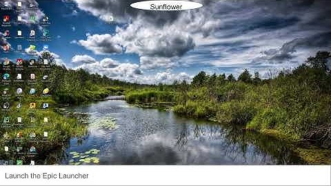 Epic games launcher showing only Unreal engine and not showing store and games .Read description.