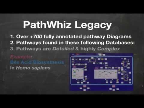 PathWhiz Pt.1 Tutorial: An Introduction to Pathways