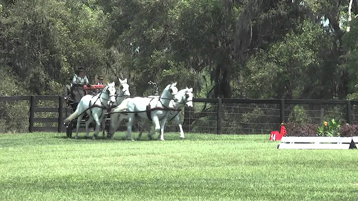 Allison Stroud Cones Live Oak International CAI 2011