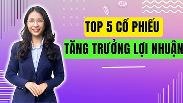TOP 5 Cổ phiếu tăng trưởng lợi nhuận cao nhất Qúy 1/2025 | PHÂN TÍCH CỔ PHIẾU | ĐẦU TƯ CHỨNG KHOÁN