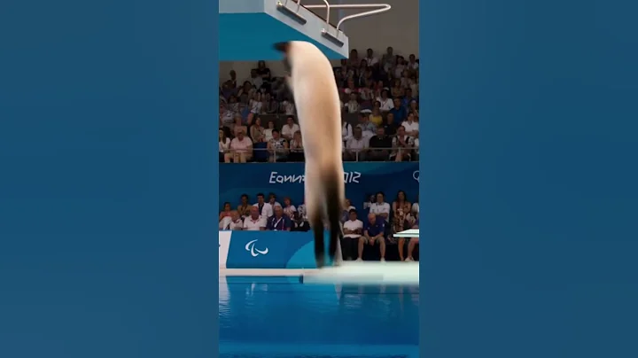 Watch the video about Siamese cats have a good posture for entering water#meme #tiktok #funny