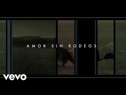 Gustavo Cerati - Amor Sin Rodeos (Official Visualizer)
