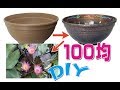 100均DIY　 睡蓮鉢　　Water lily bowl