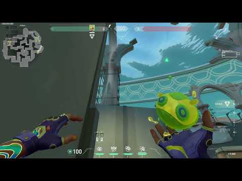 Gekko Molly Pearl Backsite A