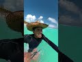 Cancún Video Mas Actual Febrero 2026  #cancun  #mexico