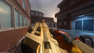 unlocked GILDED for DG-56 on Modern Warfare 3 Profile