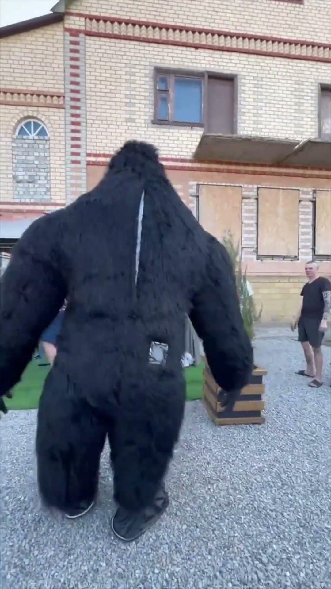 Animator in Gorilla Costume Takes a Hilarious Tumble