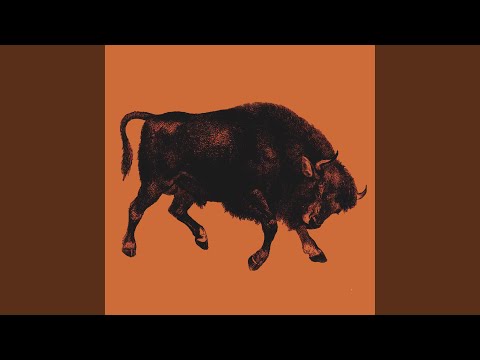 Modern Bison — [got My] Sealegs (back)