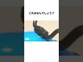 これはなんでしょう?