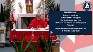 Palm Sunday of the Passion of the Lord, Celebration of Sunday Mass, March 29, 2026