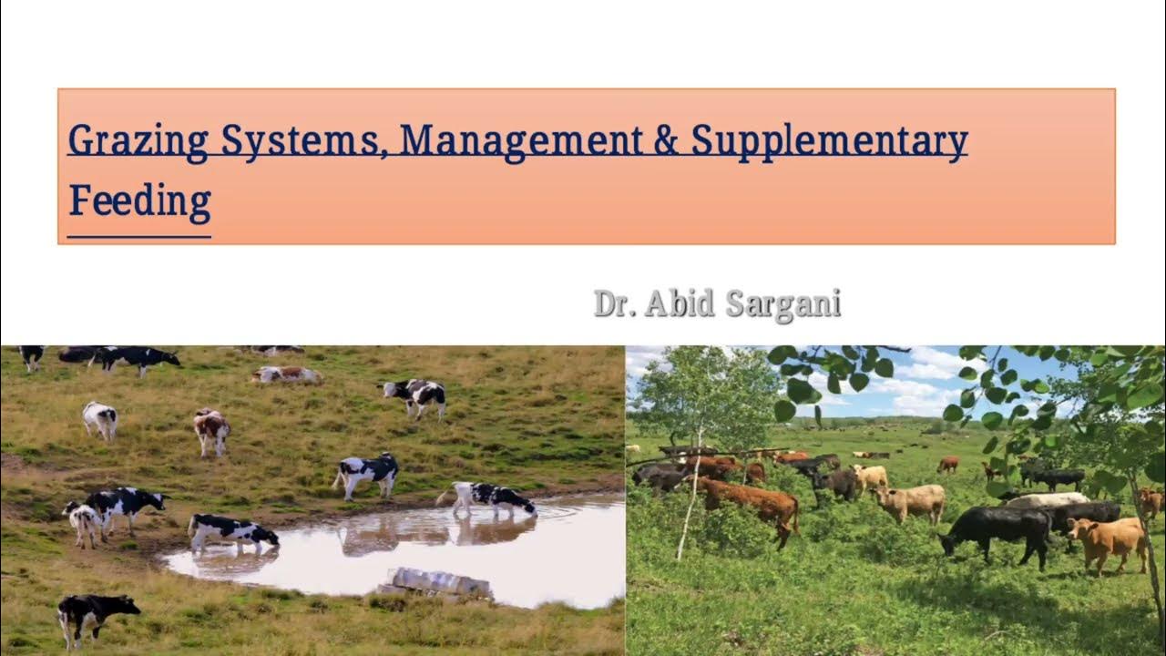 Grazing systems, management and supplementary feeding.Continuous
