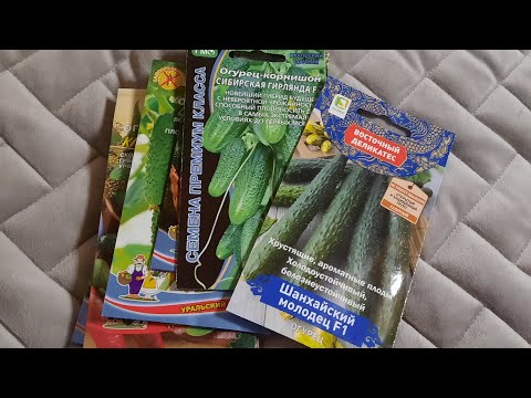 Лучшие сорта огурцов на сезон 2025