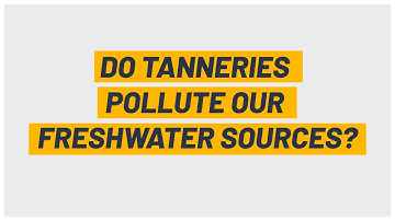 Do tanneries pollute our freshwater sources?