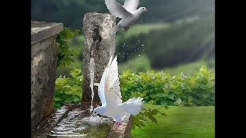 قال رسول الله ص"من قرأ سورة الكهف في يوم الجمعه أضاء له من النور ما بين الجمعتين اللهم اغفرلنامامضى