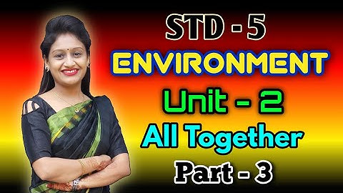Std.5/Environment/Unit-2/All Together/Rupal