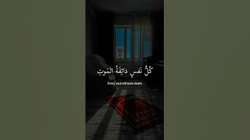 قرآن كريم تلاوة خاشعة القارئ عبد الرحمن مسعد #quran #قرآن