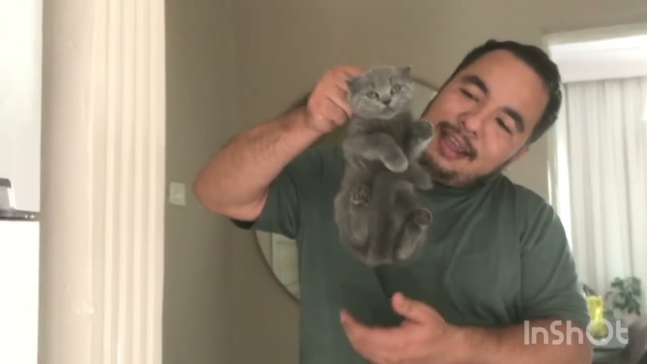 ÇOK ŞÜKÜR 🤲🏻🥺|NAPACAZ BİZ BU KEDİLERLE |#vlogs #cat #kedi #vlog #youtube #subscribe #keşfet #catlove