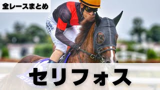 【2022年】セリフォス全出走レースまとめ！富士ステークス