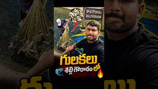 కాలువలో చెప్పాలి వెళ్తే లో #fishshorts #villegelifestyle #fishvlog #fishhunting