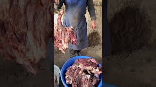 Мясо в горах Узбекистана!
