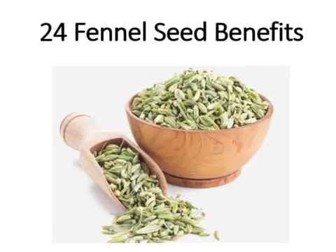 dr mcdougalls maximum weight loss food list Dr mcdougalls maximum weight loss food list some industry