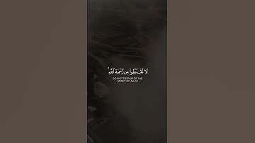 أجمل تلاوات القرآن الخاشعة 🌹