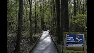 Great Swamp National Wildlife Refuge