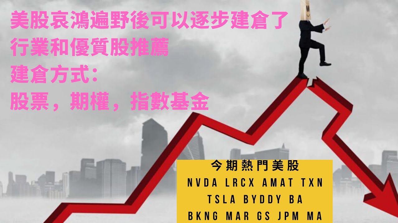 美股暴跌後是時候開始建倉了，行業和優質股推薦，建倉方式：買股票，期權，指數基金？|還有做空和對沖方法，看漲，看跌，價差組合期權|What to do  after stock market crash?