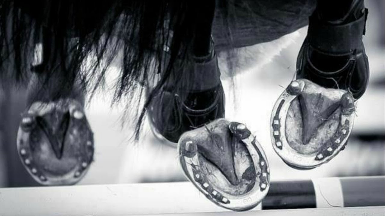 The Show Must Go On Show Jumping Music Video YouTube