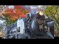 【ソロ活女子】SL列車と紅葉の旅 in 長瀞(埼玉県)🚃 Steam Train Travel with Colorful Leaves 🍁 ASMR Solo Travel Vlog